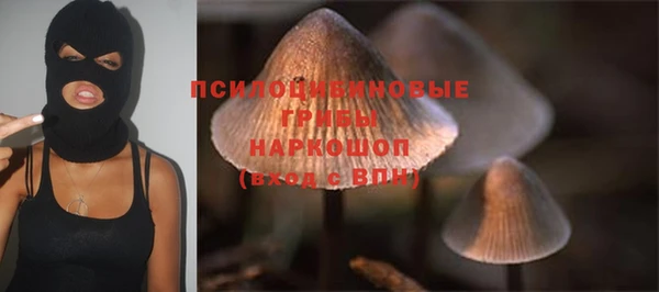 Альфа ПВП Бронницы