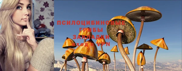 Альфа ПВП Бронницы