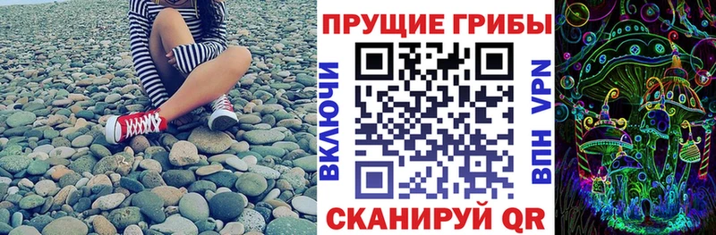 мега сайт  Домодедово  Псилоцибиновые грибы MAGIC MUSHROOMS 